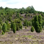 Aldeamento Turístico Auf Dem Simpel Soltau