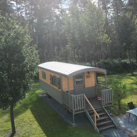 Auf Dem Simpel 졸타우