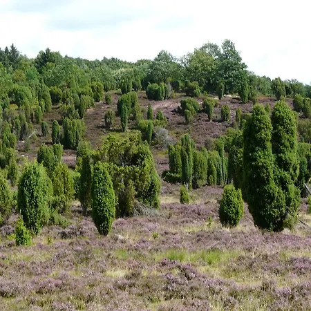 홀리데이파크 Auf Dem Simpel 졸타우