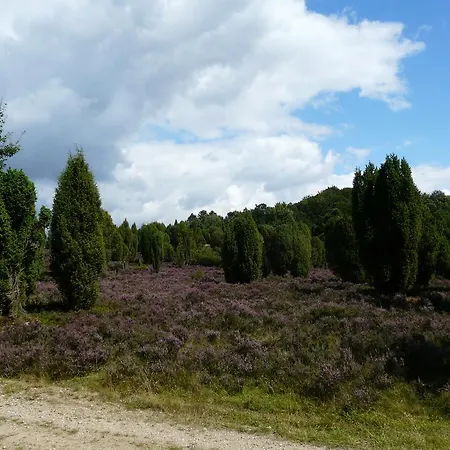 홀리데이파크 Auf Dem Simpel 3*