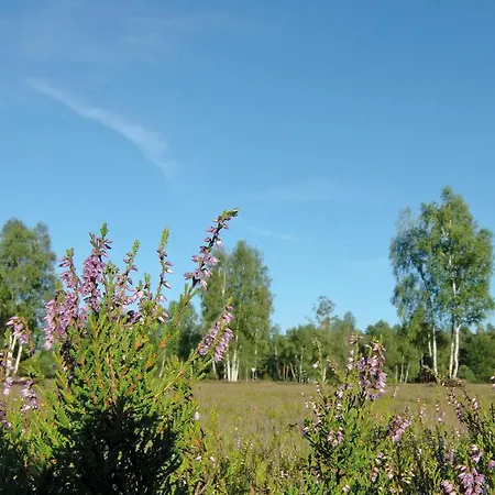 Holiday park Auf Dem Simpel