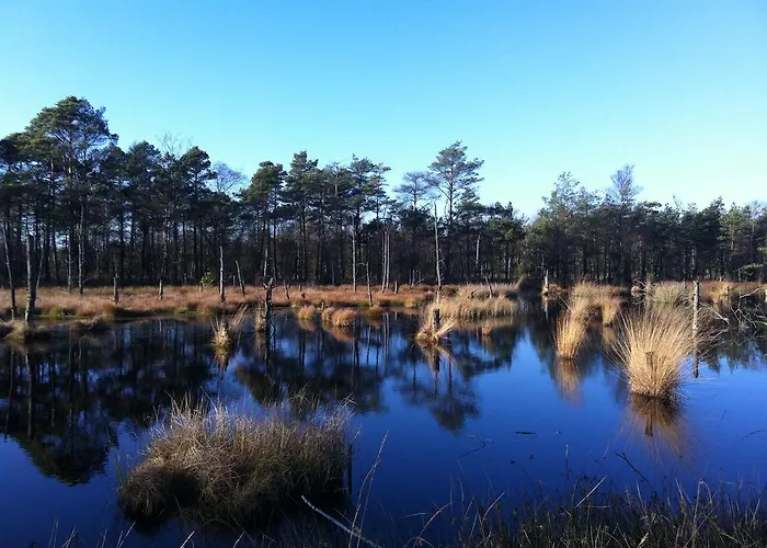 Vakantiepark Auf Dem Simpel 3*