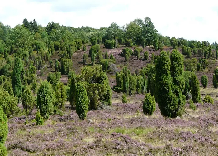 Vakantiepark Auf Dem Simpel Soltau