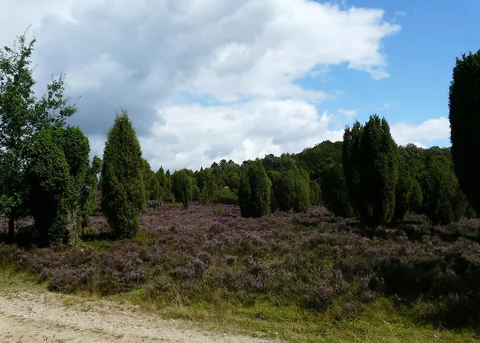 Vakantiepark Auf Dem Simpel 3*